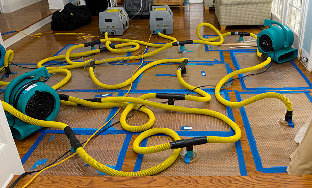 Professional Basement Flood Cleanup technician working in Harrington, ME